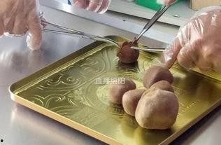 羊宝吃瓜爆料,娱乐圈幕后真相大揭秘